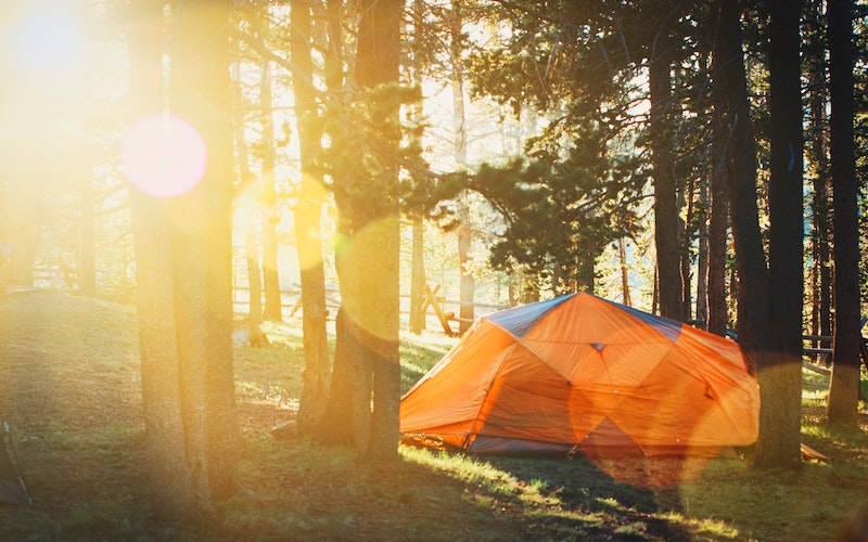 orange tent in the woods with sunlight