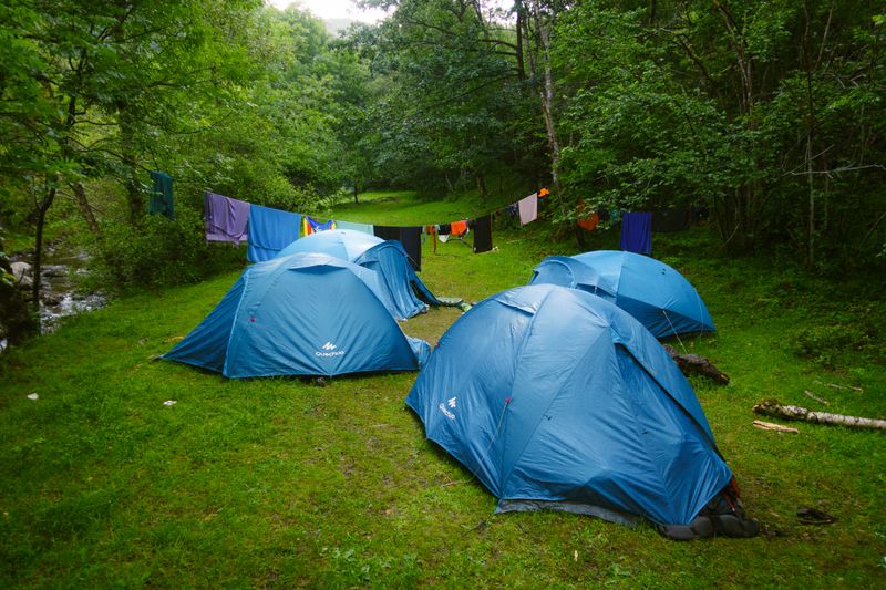 three blue tents in a grassy clearing