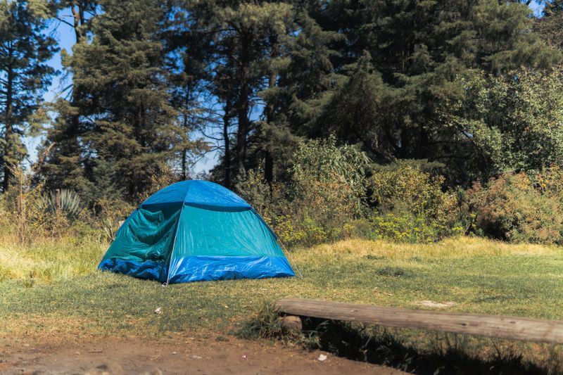 serene woodland campsite